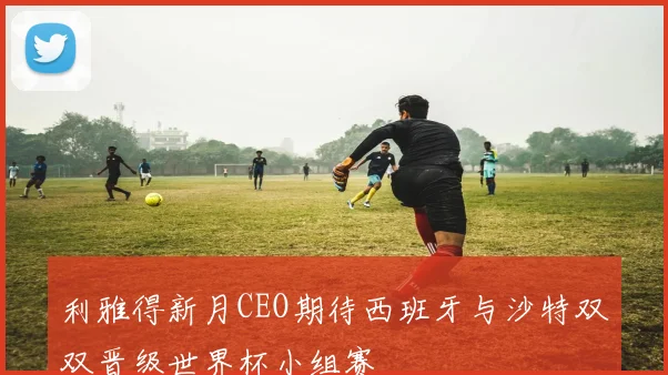 利雅得新月CEO期待西班牙与沙特双双晋级世界杯小组赛